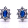 Orecchini Kate fiore blu argento
